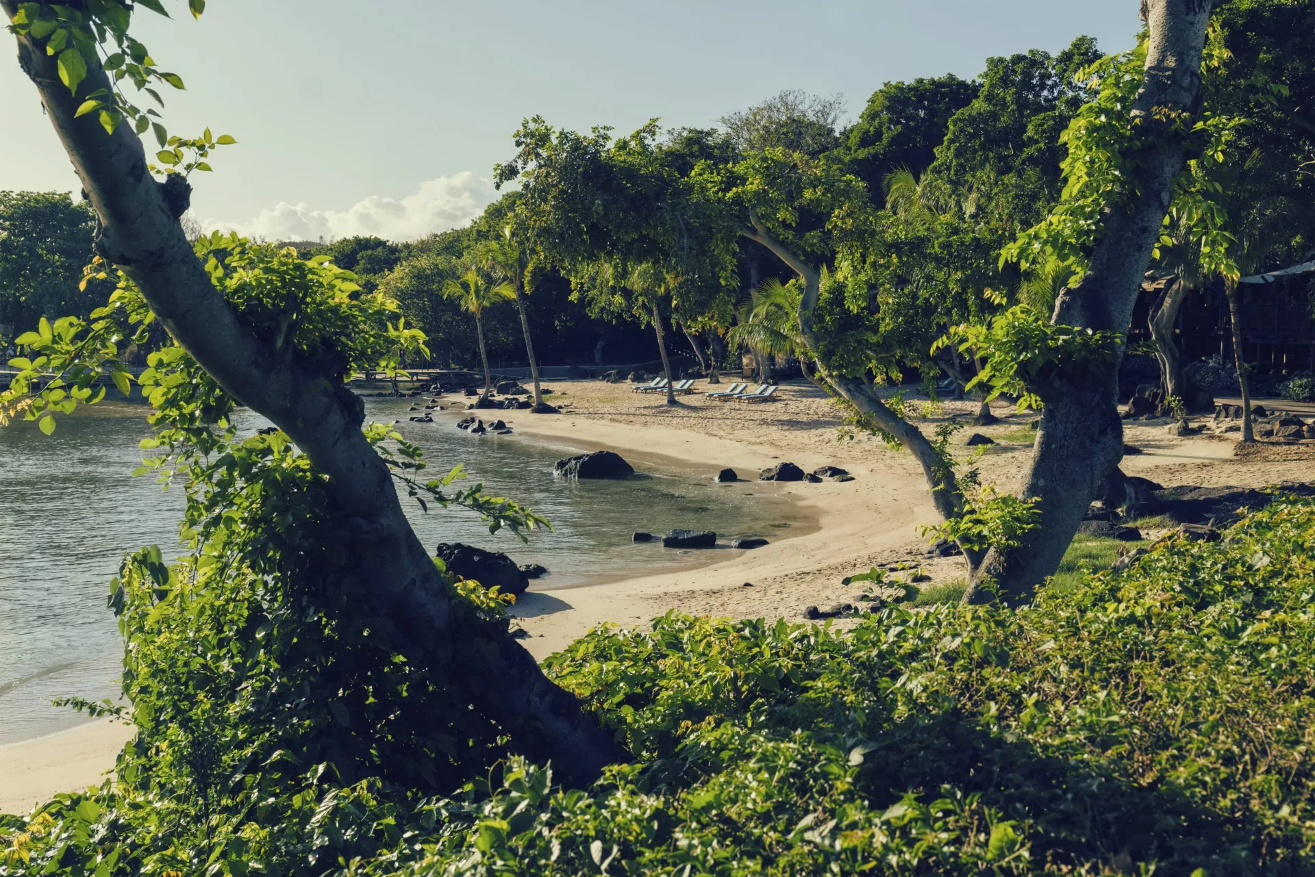 Club Med La Plantation d'Albion