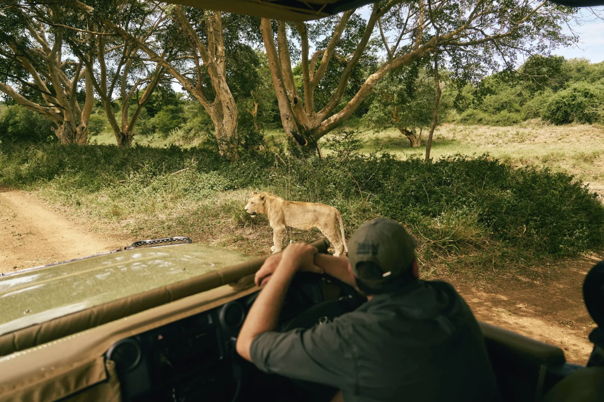 Club Med Beach & Safari