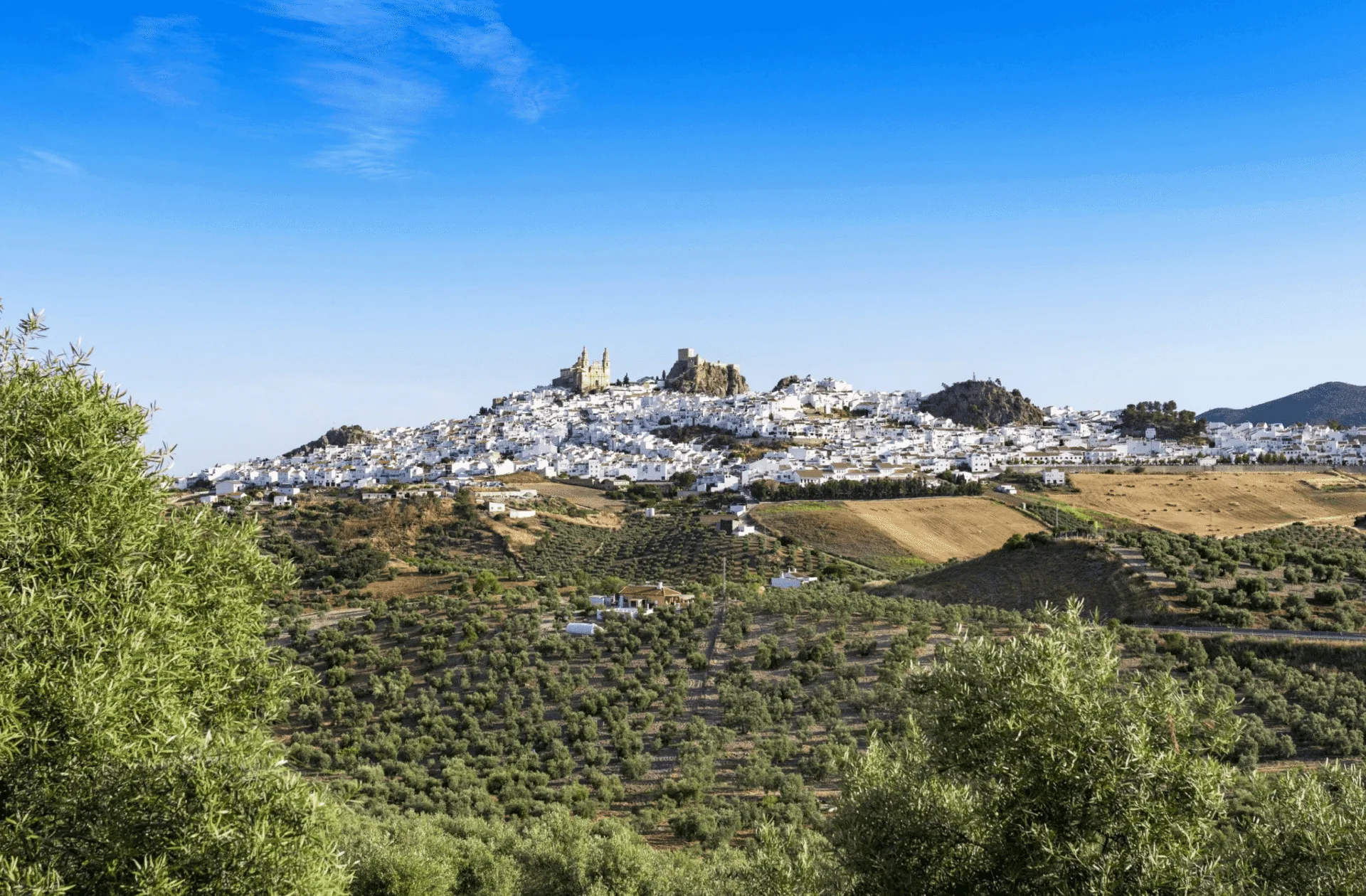 Club Med Magna Marbella