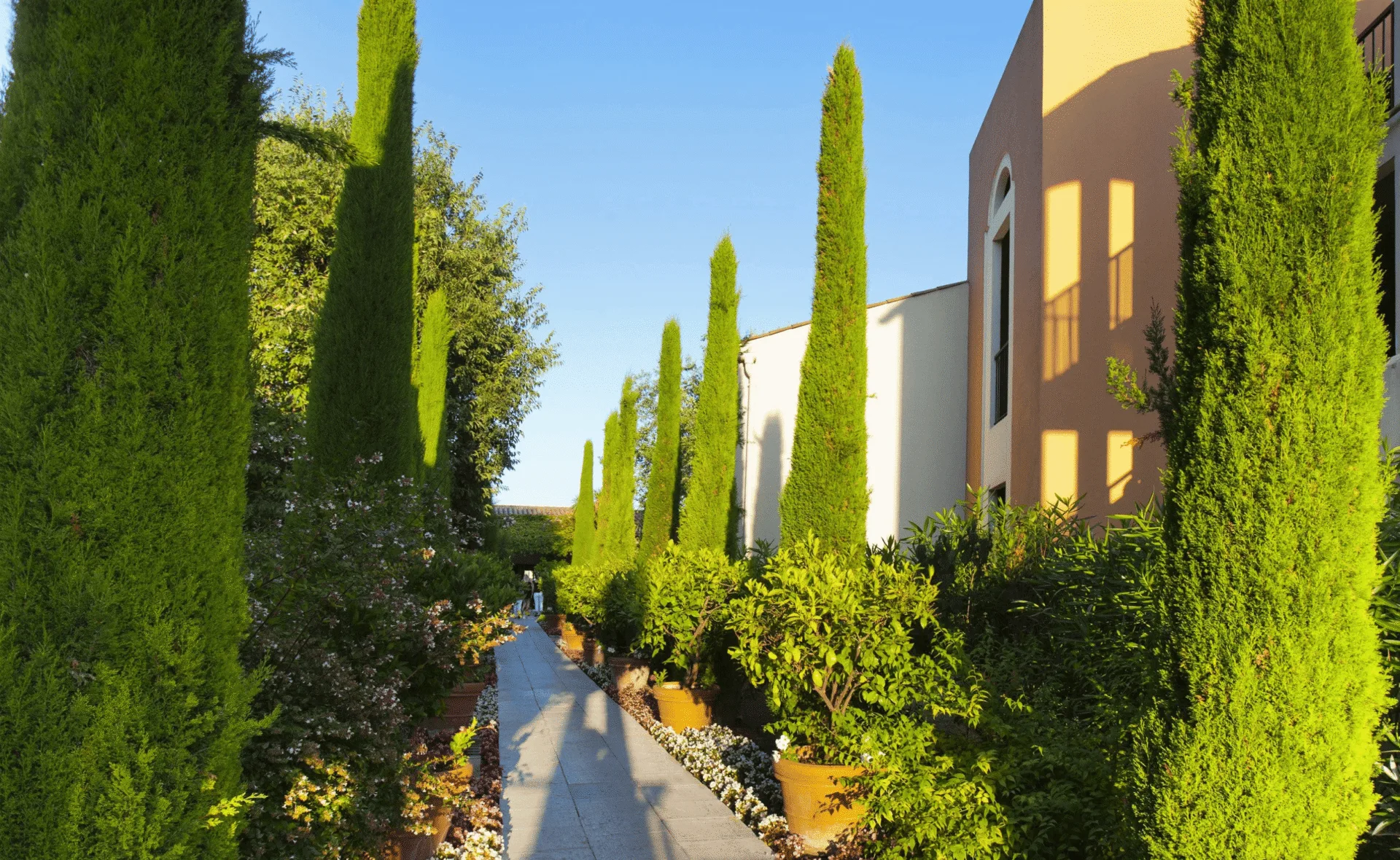 CLub Med Opio Prowansja